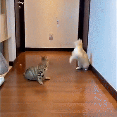 Feature product image